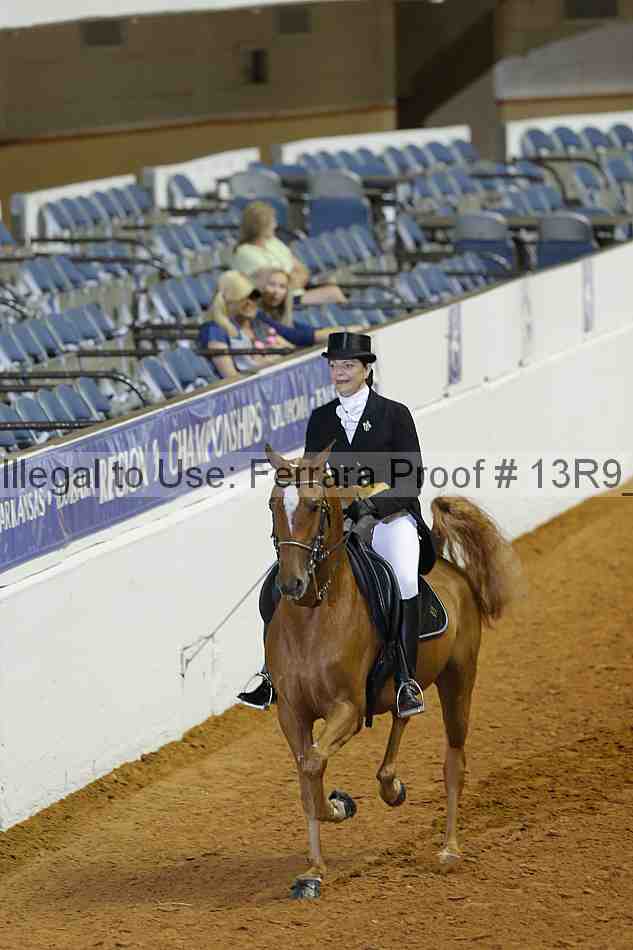 Proof 13r9_0853