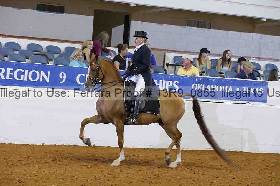 Proof 13r9_0855