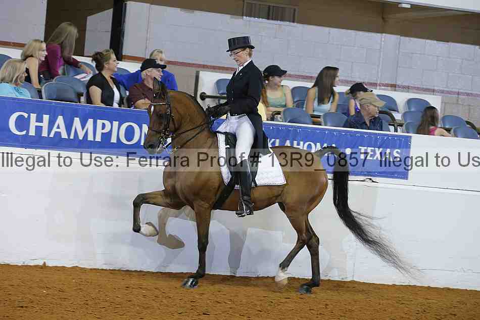 Proof 13r9_0857