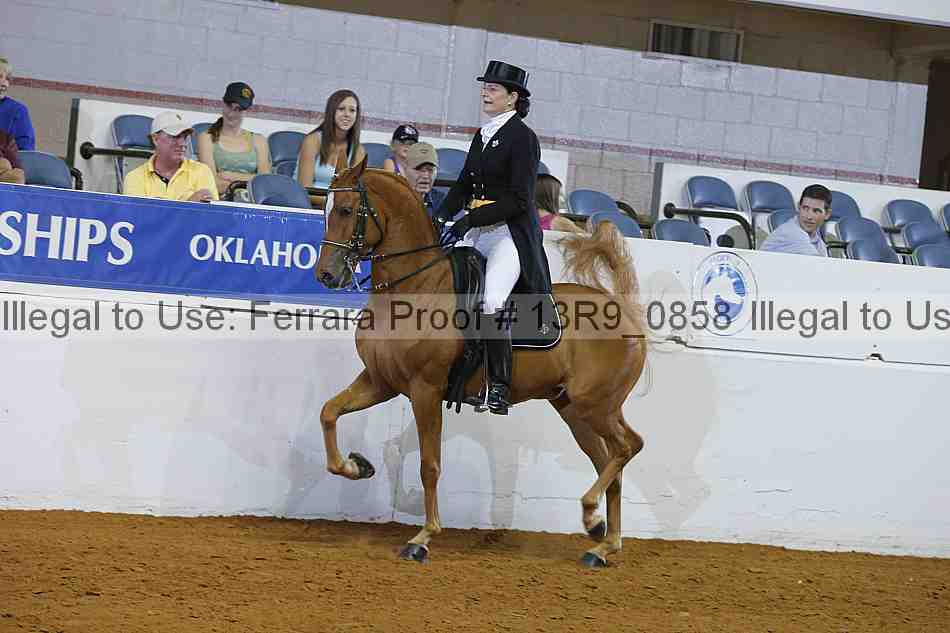 Proof 13r9_0858