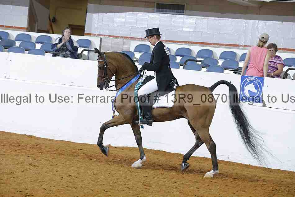 Proof 13r9_0870
