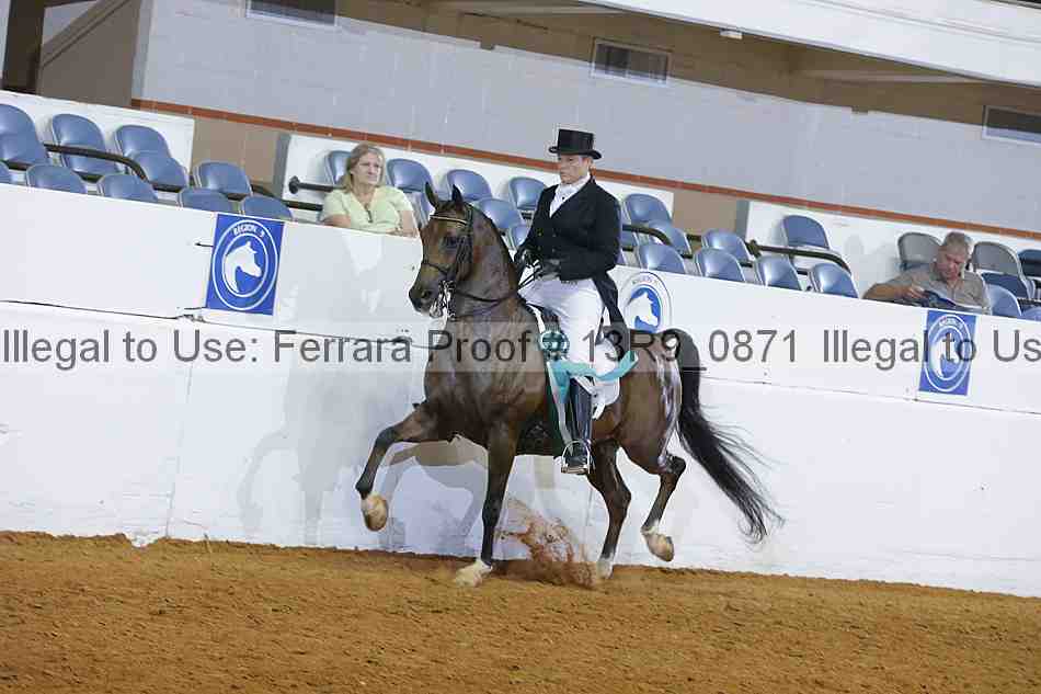 Proof 13r9_0871