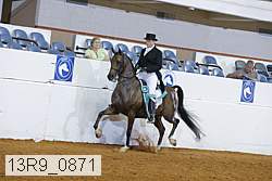 13r9_0871 proof