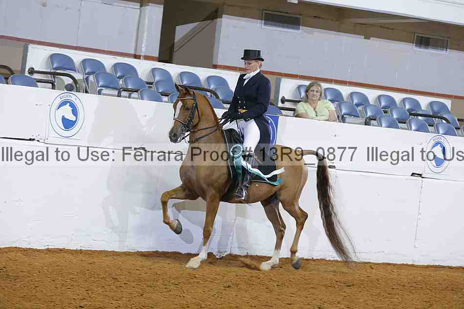 Proof 13r9_0877
