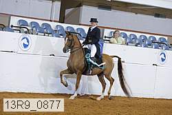 13r9_0877 proof