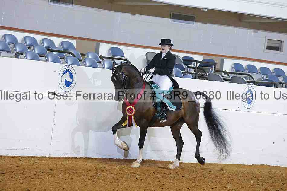 Proof 13r9_0880