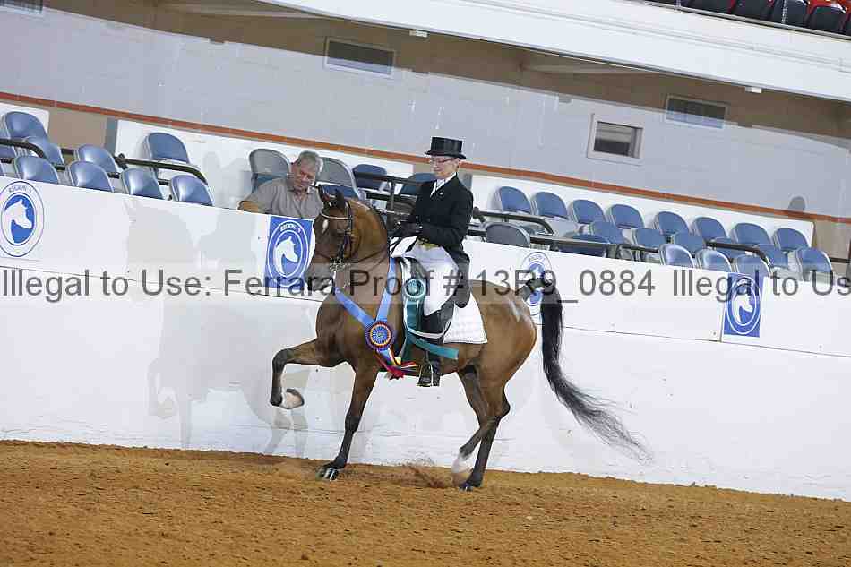 Proof 13r9_0884