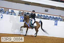 13r9_0884 proof