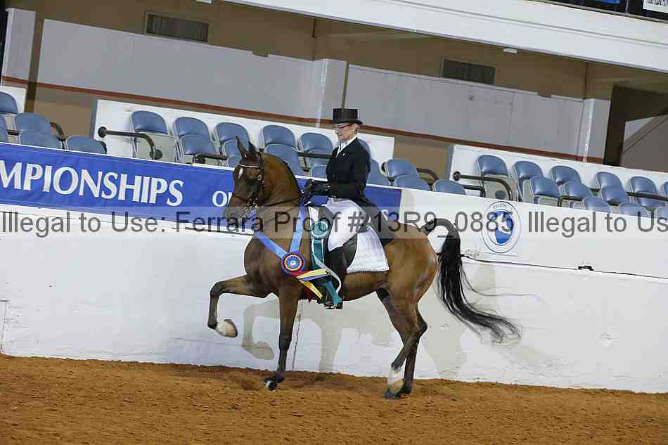 Proof 13r9_0885