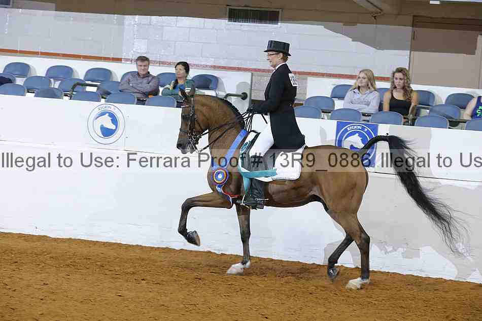Proof 13r9_0886