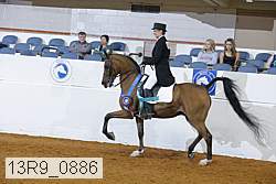 13r9_0886 proof