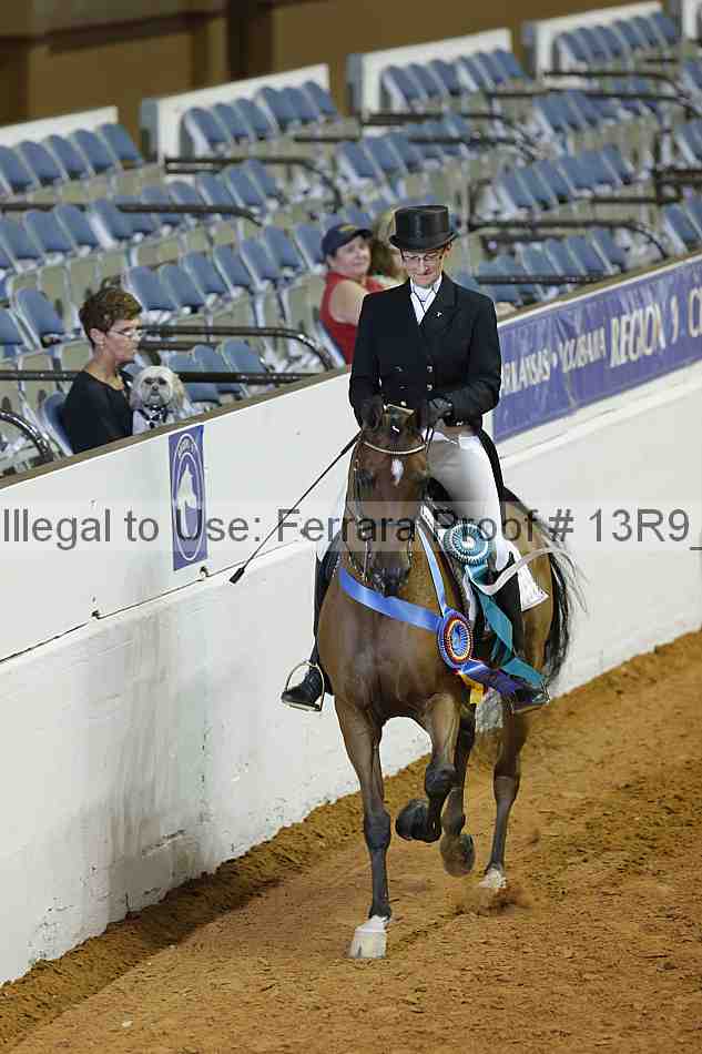 Proof 13r9_0887