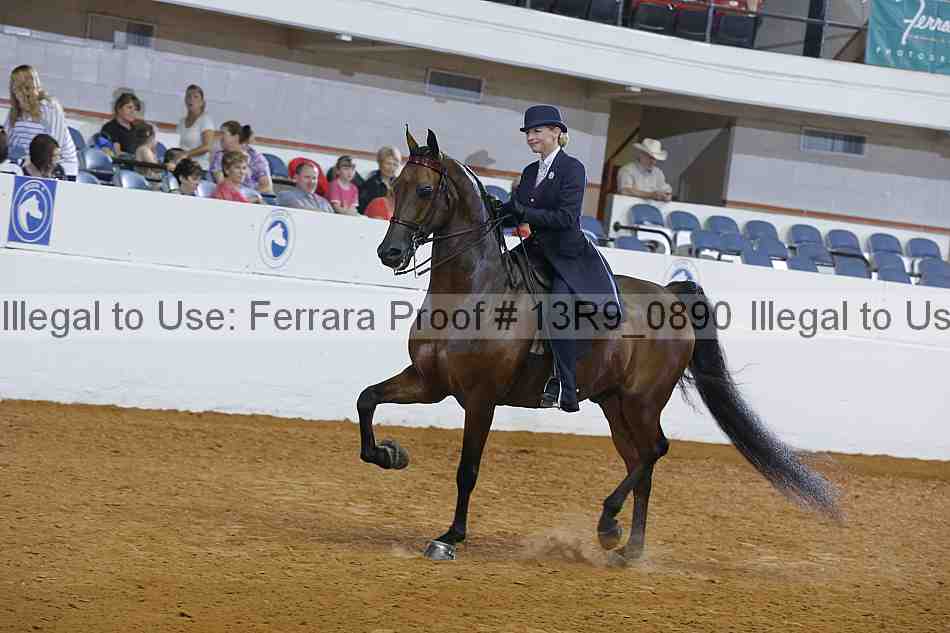 Proof 13r9_0890
