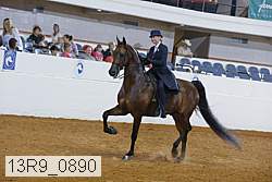 13r9_0890 proof