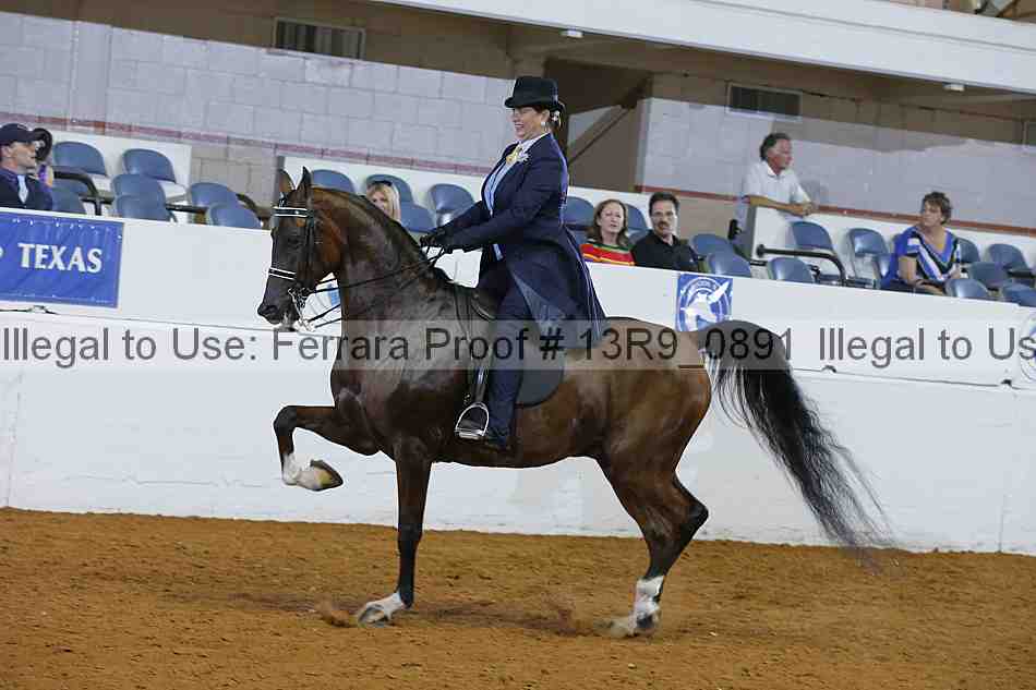 Proof 13r9_0891
