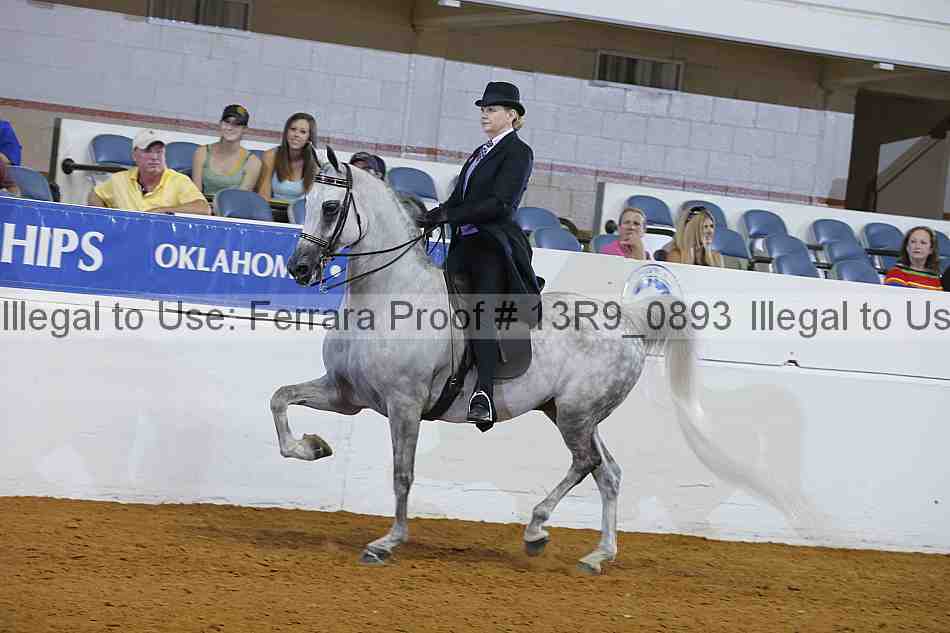 Proof 13r9_0893