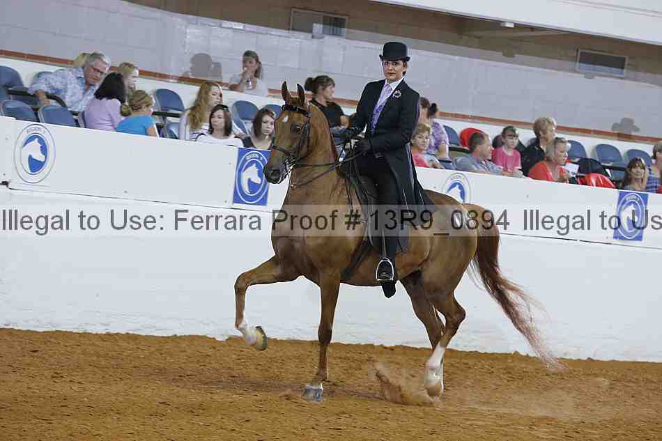 Proof 13r9_0894