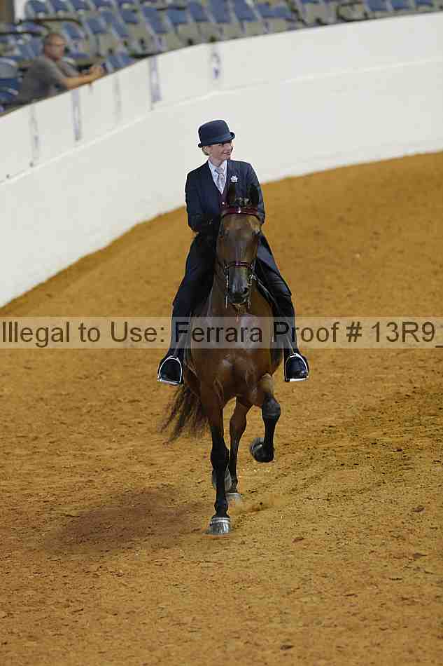 Proof 13r9_0895