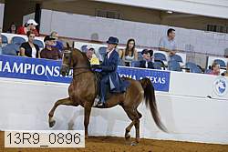 13r9_0896 proof