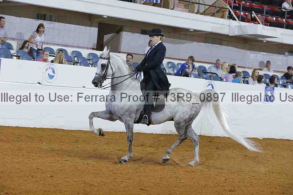 Proof 13r9_0897