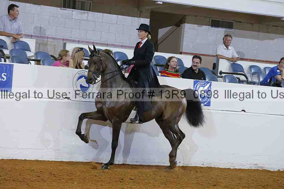 Proof 13r9_0898