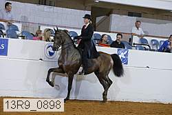 13r9_0898 proof