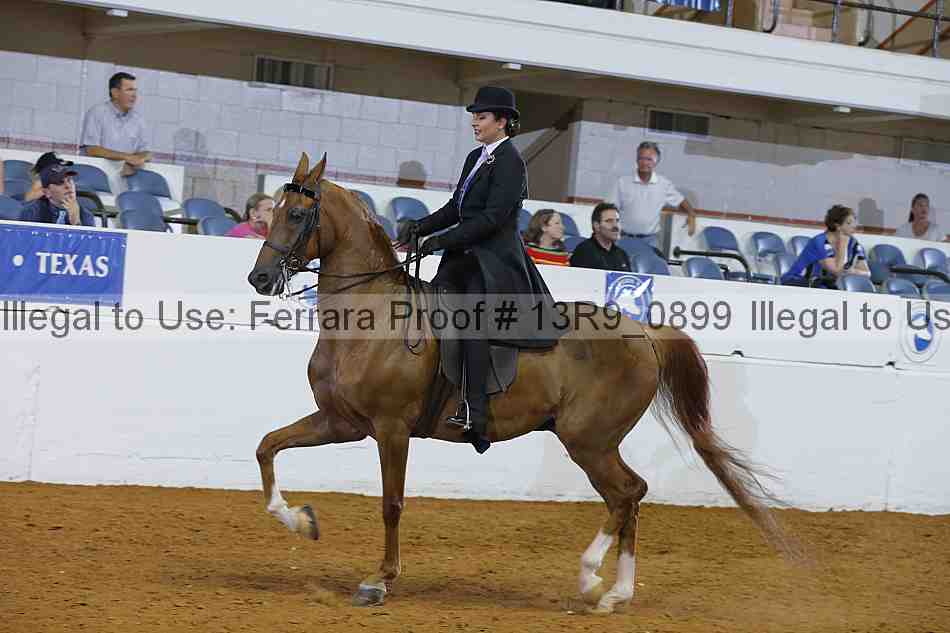 Proof 13r9_0899