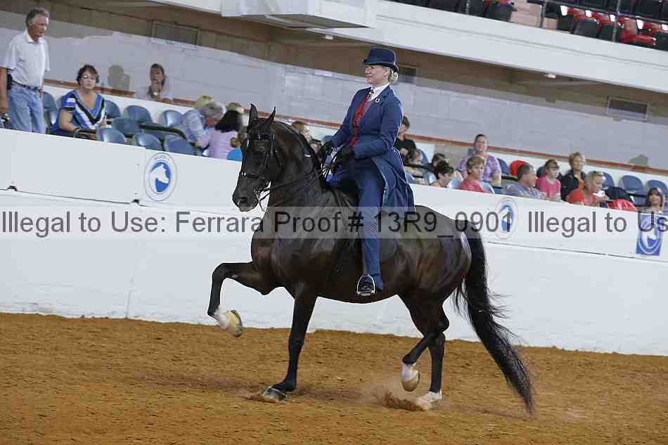 Proof 13r9_0901