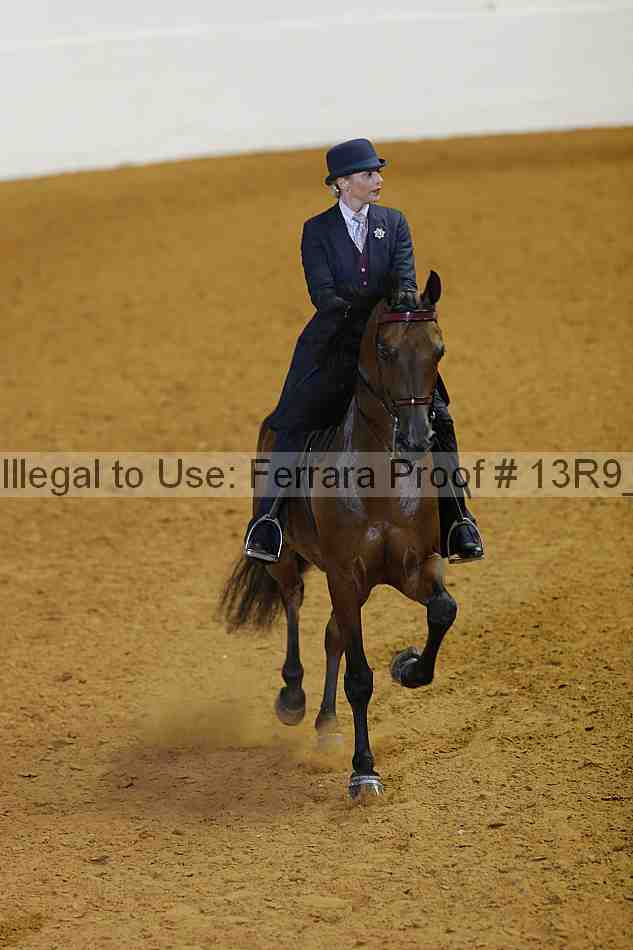 Proof 13r9_0903
