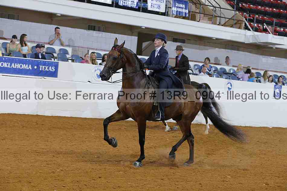 Proof 13r9_0904