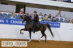 13r9_0905 proof