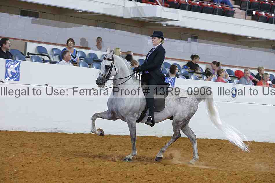 Proof 13r9_0906