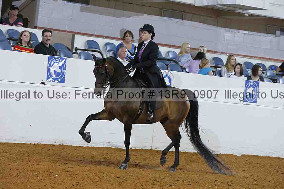 Proof 13r9_0907