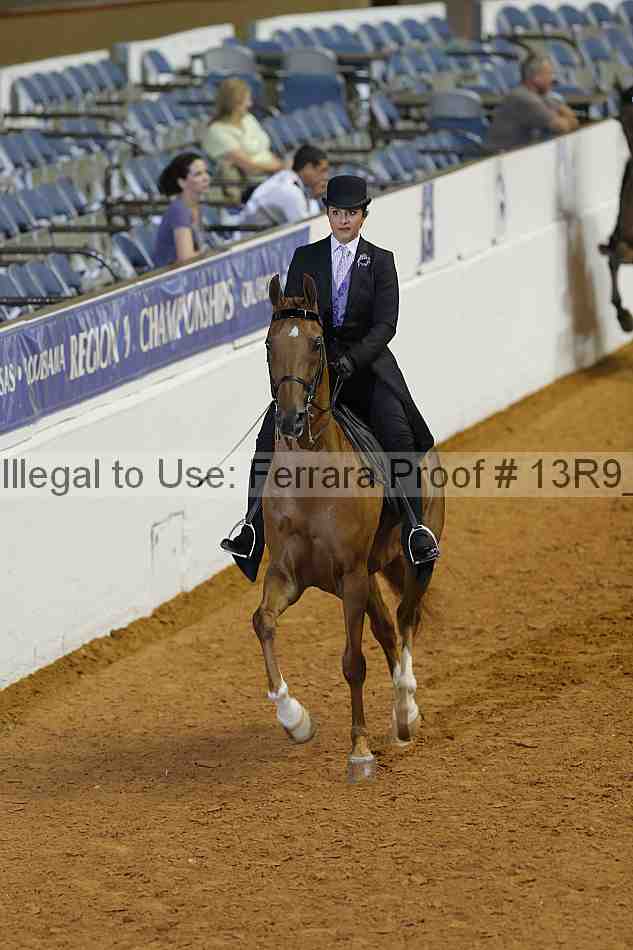 Proof 13r9_0909
