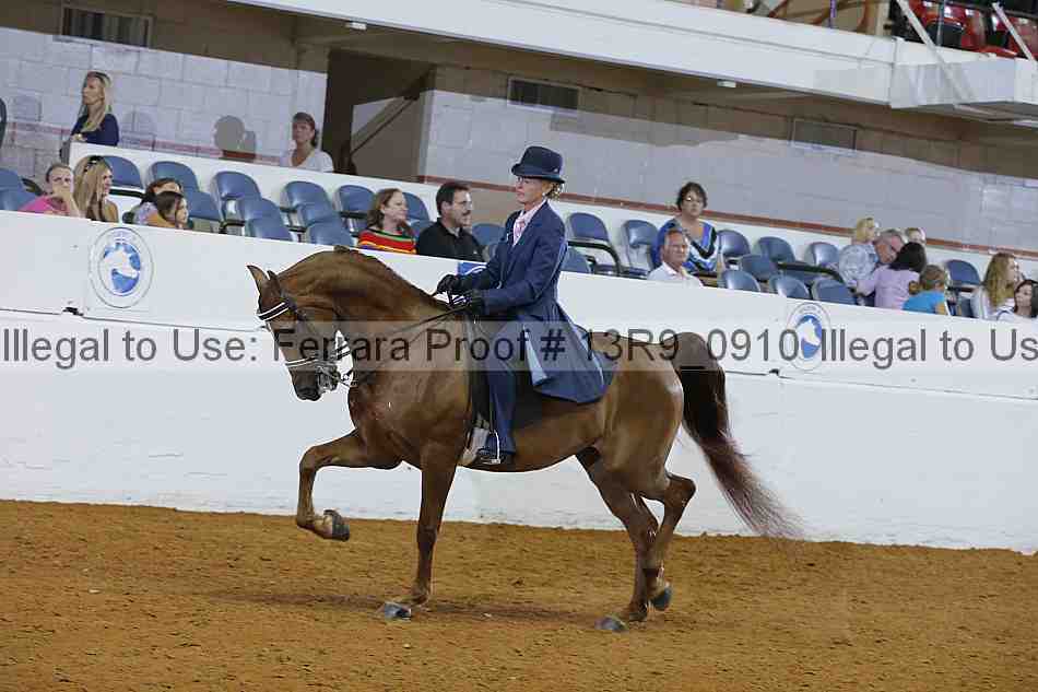 Proof 13r9_0910