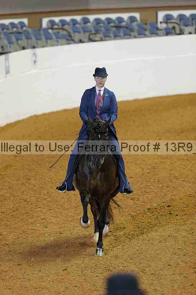 Proof 13r9_0911
