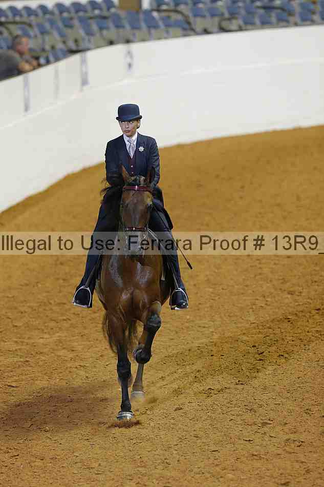 Proof 13r9_0912