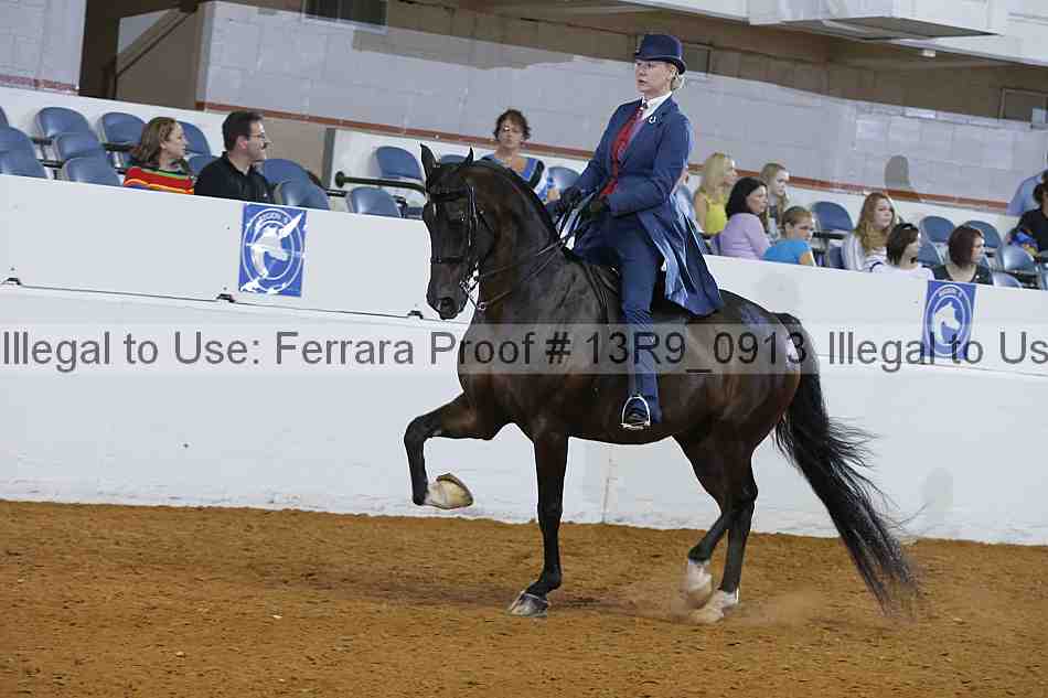 Proof 13r9_0913