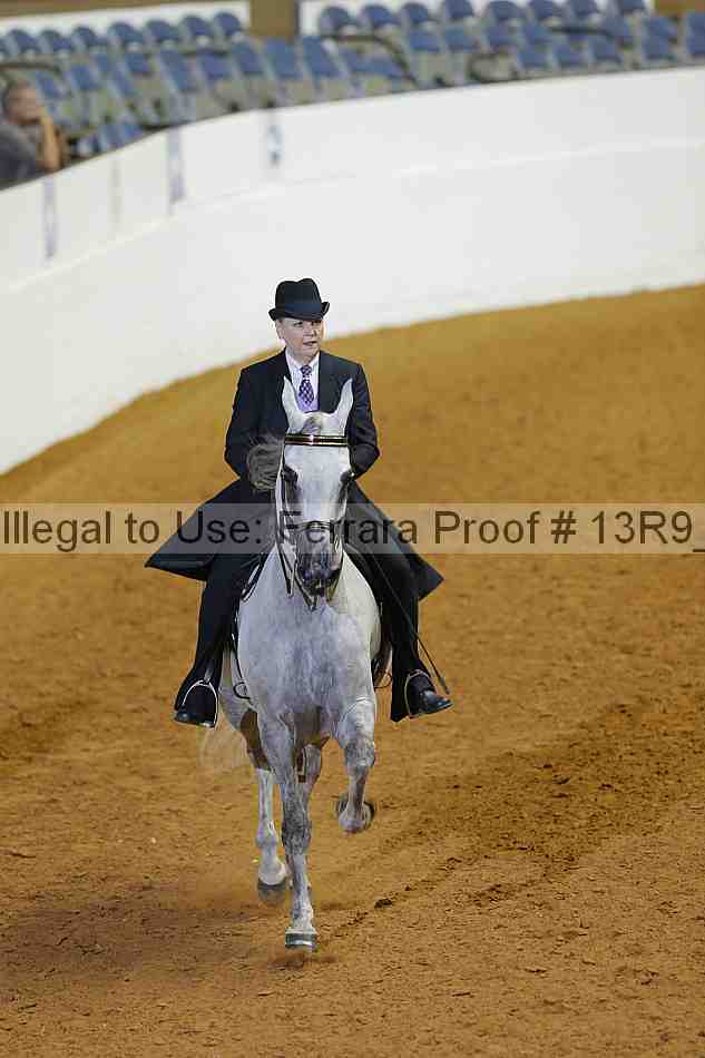 Proof 13r9_0916