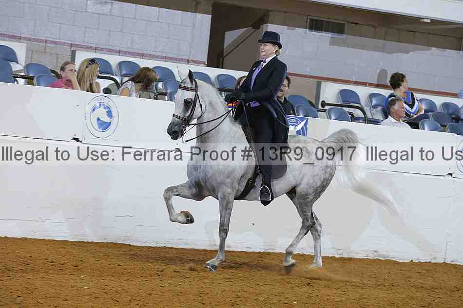 Proof 13r9_0917