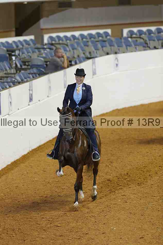 Proof 13r9_0918