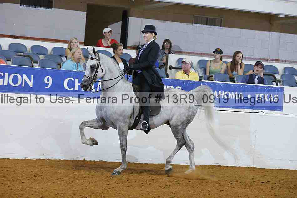 Proof 13r9_0919