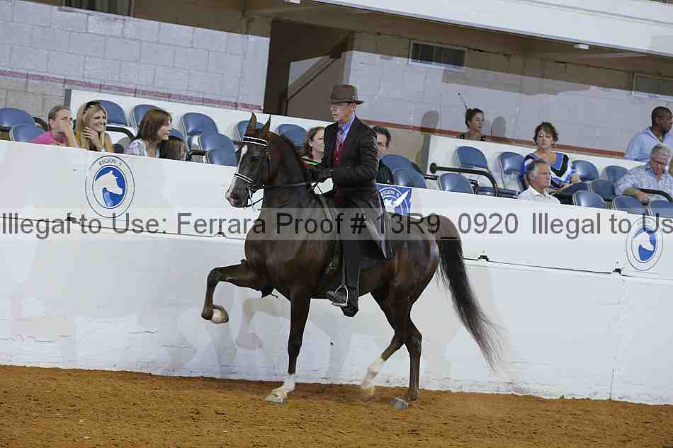 Proof 13r9_0920