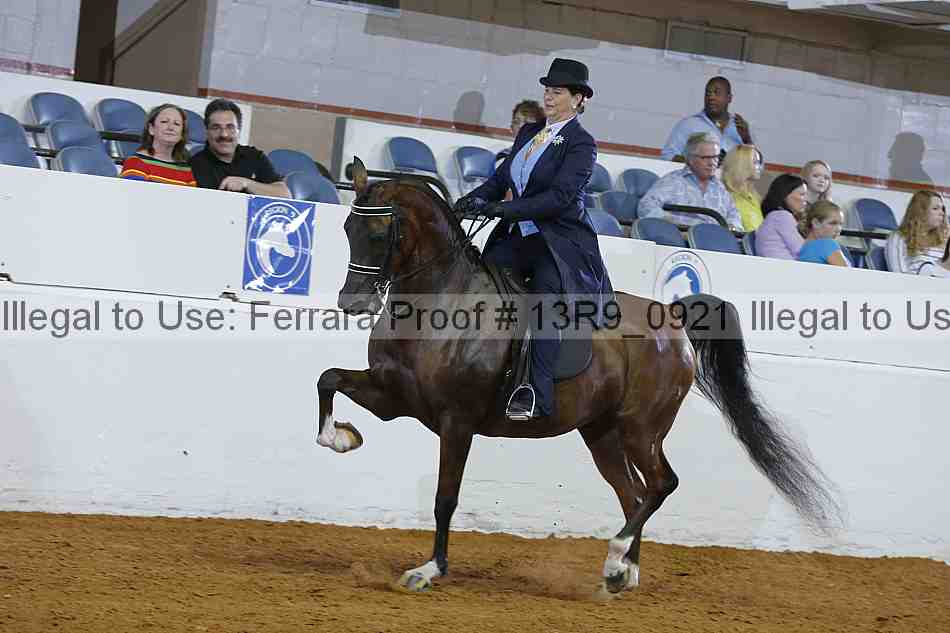 Proof 13r9_0921