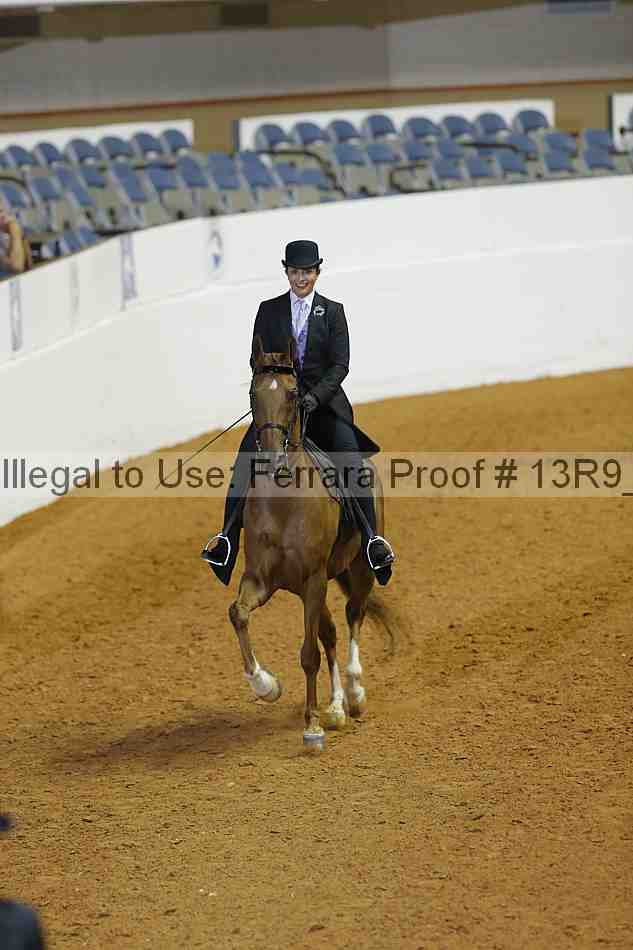 Proof 13r9_0922