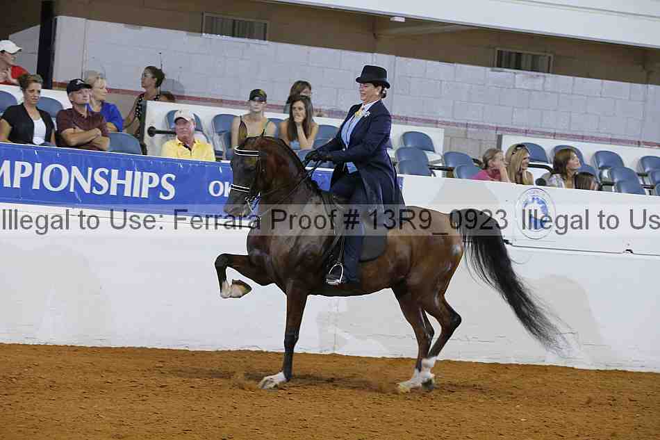 Proof 13r9_0923