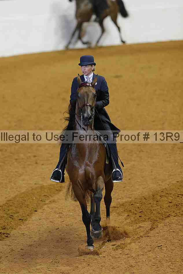 Proof 13r9_0925