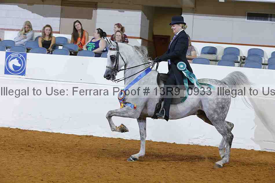 Proof 13r9_0933