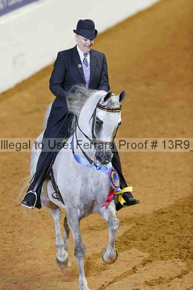 Proof 13r9_0936