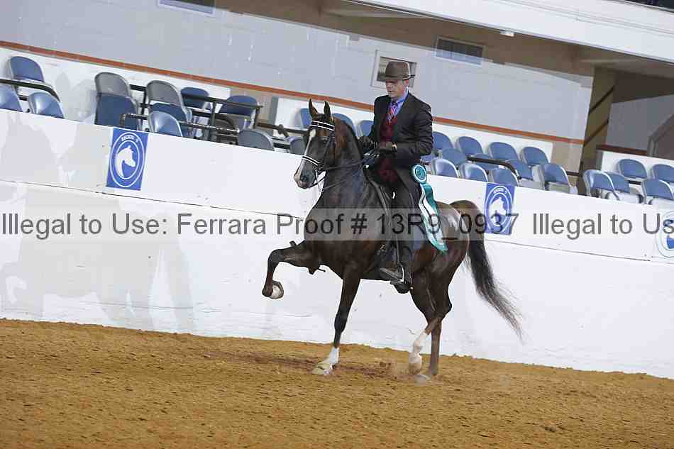 Proof 13r9_0937